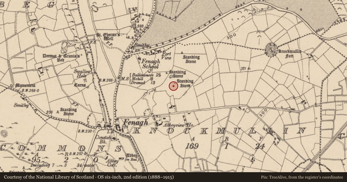 Ordnance Survey six-inch map, 2nd edition (1888–1915) covering the location of Standing stone, Knockmullin, County Leitrim, with a pin at the register's coordinates