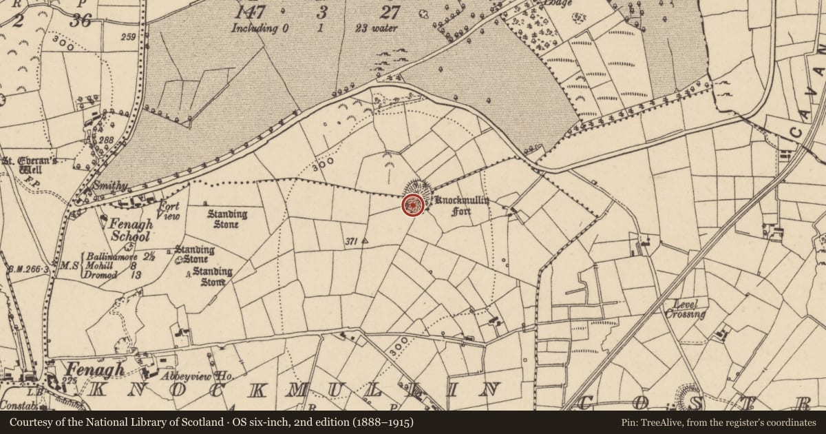Ordnance Survey six-inch map, 2nd edition (1888–1915) covering the location of Ringfort - rath, Ballycalleen, Knockmullin, County Leitrim, with a pin at the register's coordinates