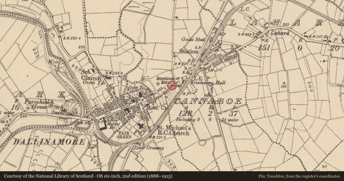 Ordnance Survey six-inch map, 2nd edition (1888–1915) covering the location of Standing stone, Cannaboe, County Leitrim, with a pin at the register's coordinates