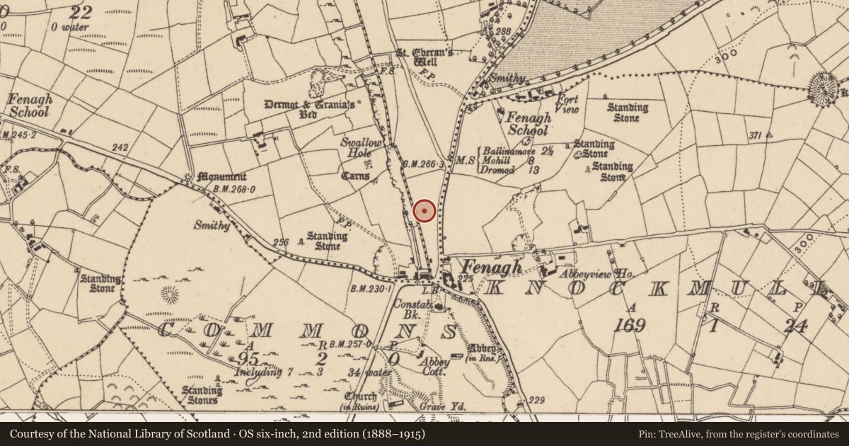 Ordnance Survey six-inch map, 2nd edition (1888–1915) covering the location of Ring-ditch, Mullaghnameely, County Leitrim, with a pin at the register's coordinates
