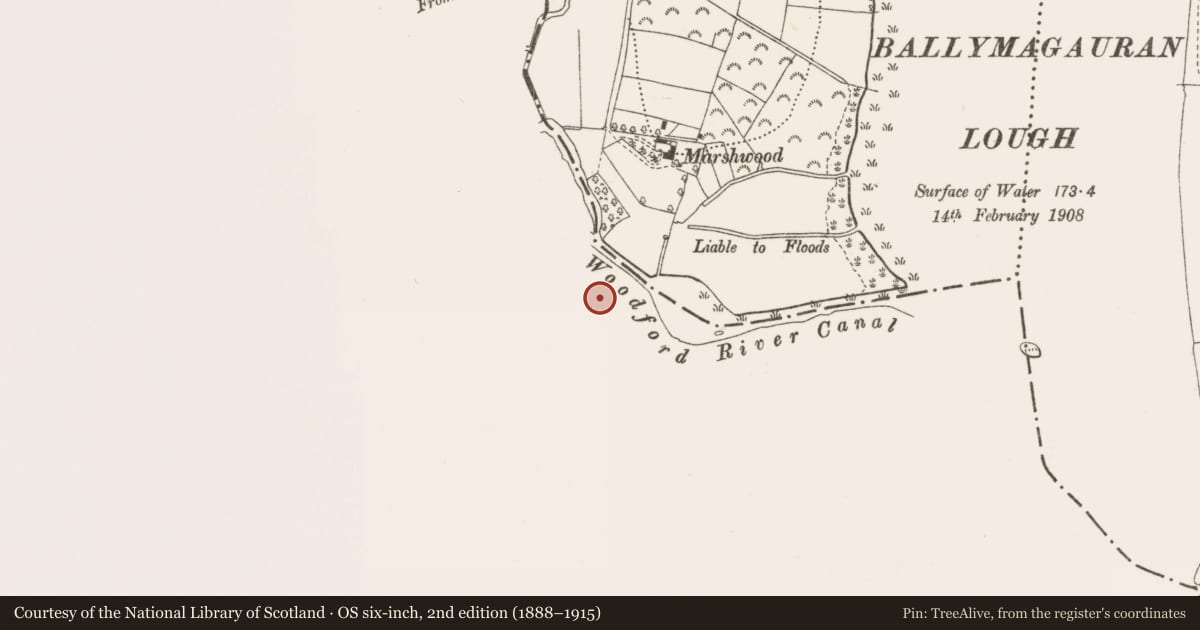 Ordnance Survey six-inch map, 2nd edition (1888–1915) covering the location of House - 18th/19th century, Woodford Demesne, County Leitrim, with a pin at the register's coordinates