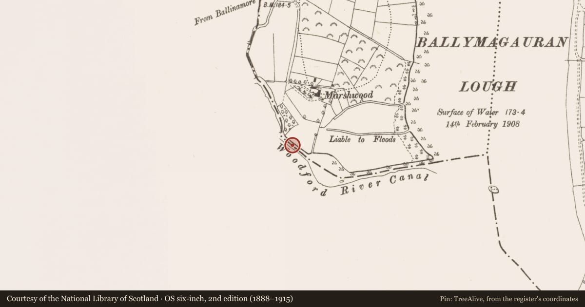 Ordnance Survey six-inch map, 2nd edition (1888–1915) covering the location of Bridge, Woodford Demesne, County Leitrim, with a pin at the register's coordinates
