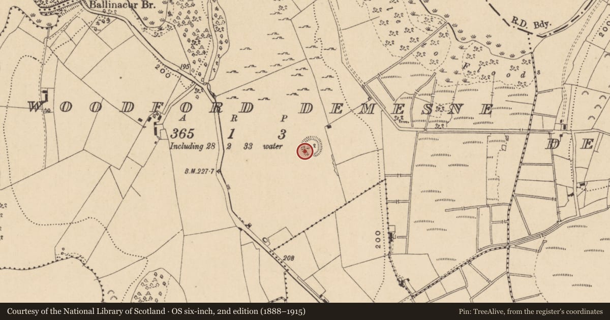 Ordnance Survey six-inch map, 2nd edition (1888–1915) covering the location of Ringfort - rath, Woodford Demesne, County Leitrim, with a pin at the register's coordinates