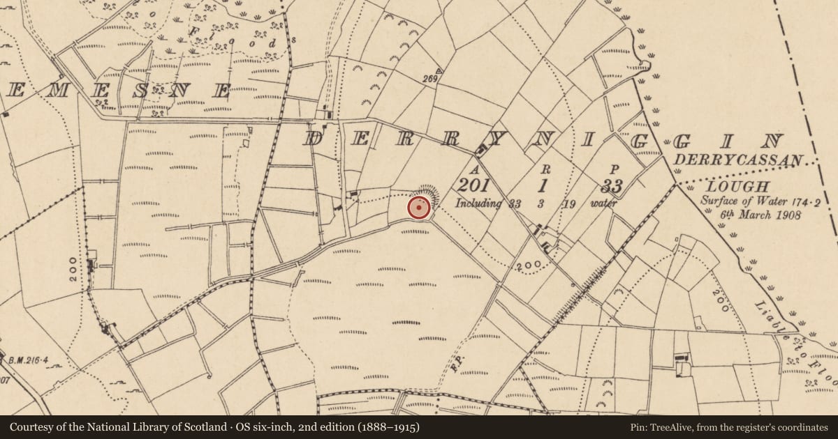 Ordnance Survey six-inch map, 2nd edition (1888–1915) covering the location of Ringfort - rath, Derryniggin, County Leitrim, with a pin at the register's coordinates