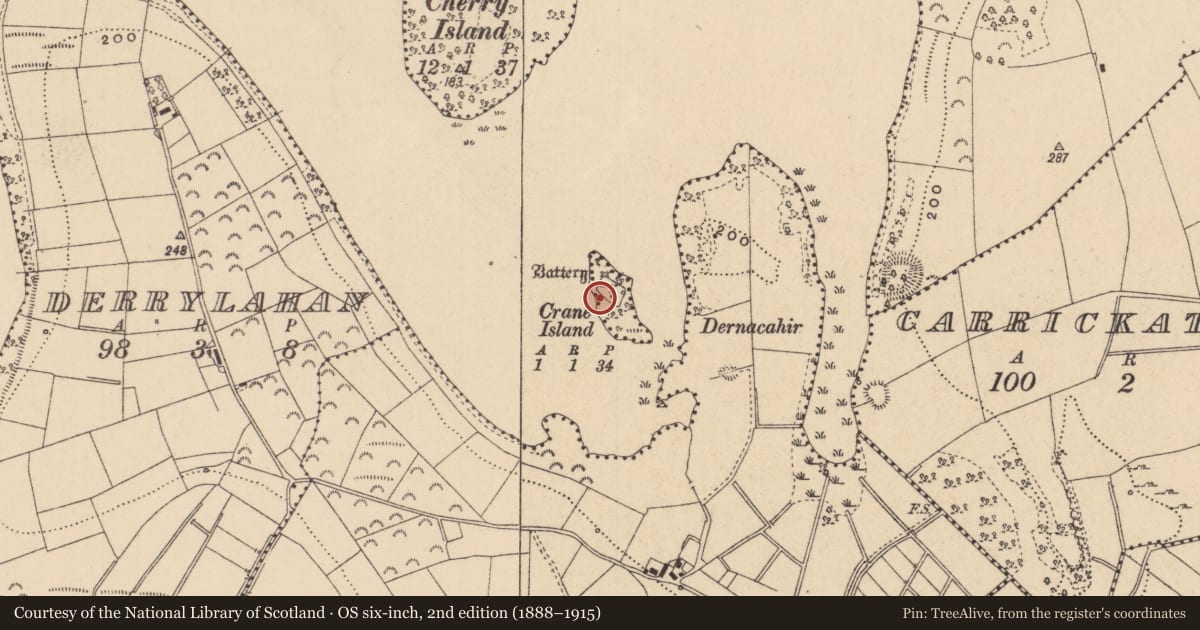 Ordnance Survey six-inch map, 2nd edition (1888–1915) covering the location of Bawn, Crane Island, County Leitrim, with a pin at the register's coordinates