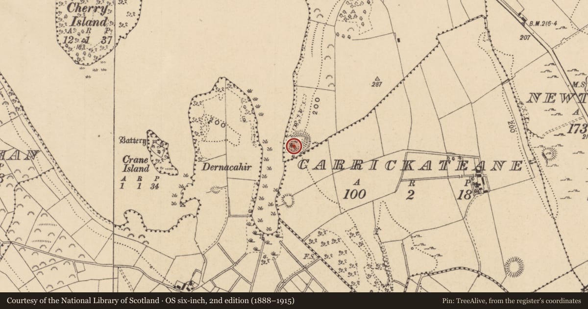 Ordnance Survey six-inch map, 2nd edition (1888–1915) covering the location of Ringfort - rath, Woodford Demesne, County Leitrim, with a pin at the register's coordinates