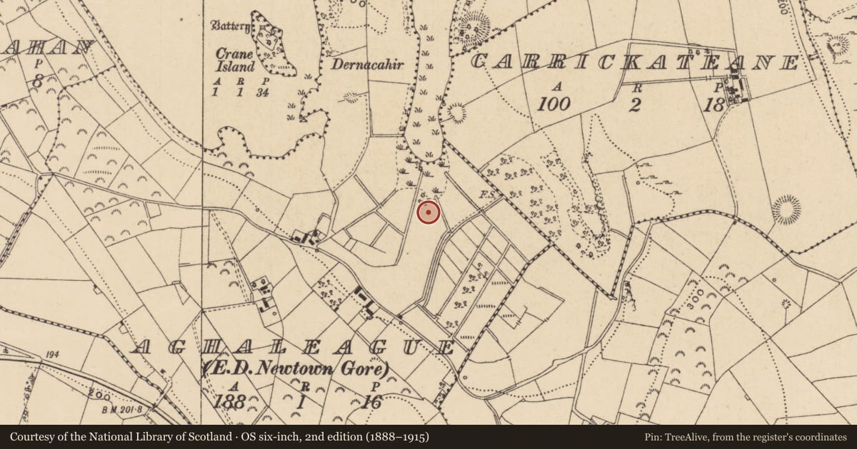 Ordnance Survey six-inch map, 2nd edition (1888–1915) covering the location of Crannog, Aghaleague, County Leitrim, with a pin at the register's coordinates