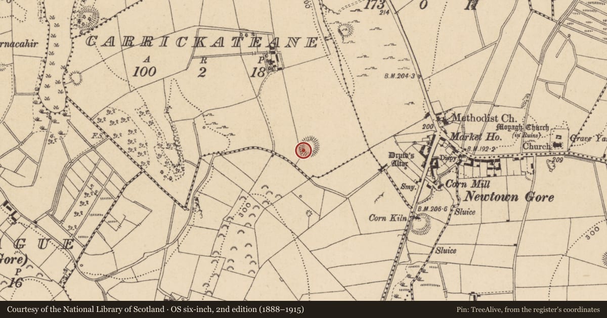 Ordnance Survey six-inch map, 2nd edition (1888–1915) covering the location of Ringfort - rath, Carrickateane, County Leitrim, with a pin at the register's coordinates