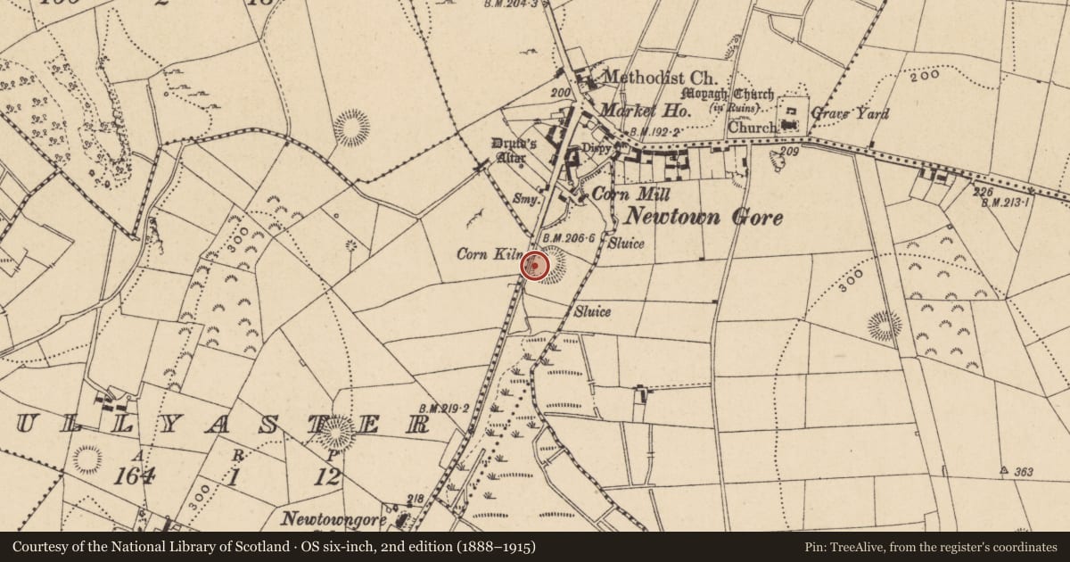 Ordnance Survey six-inch map, 2nd edition (1888–1915) covering the location of Enclosure, Newtowngore, County Leitrim, with a pin at the register's coordinates