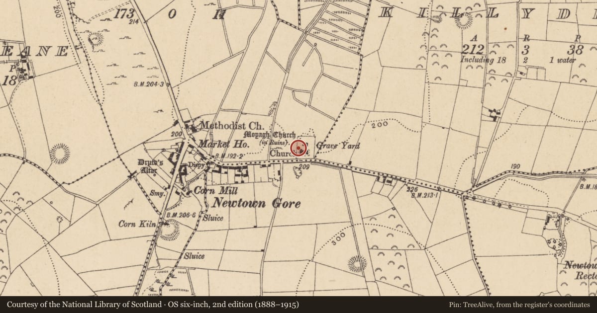 Ordnance Survey six-inch map, 2nd edition (1888–1915) covering the location of Church, Newtowngore, County Leitrim, with a pin at the register's coordinates
