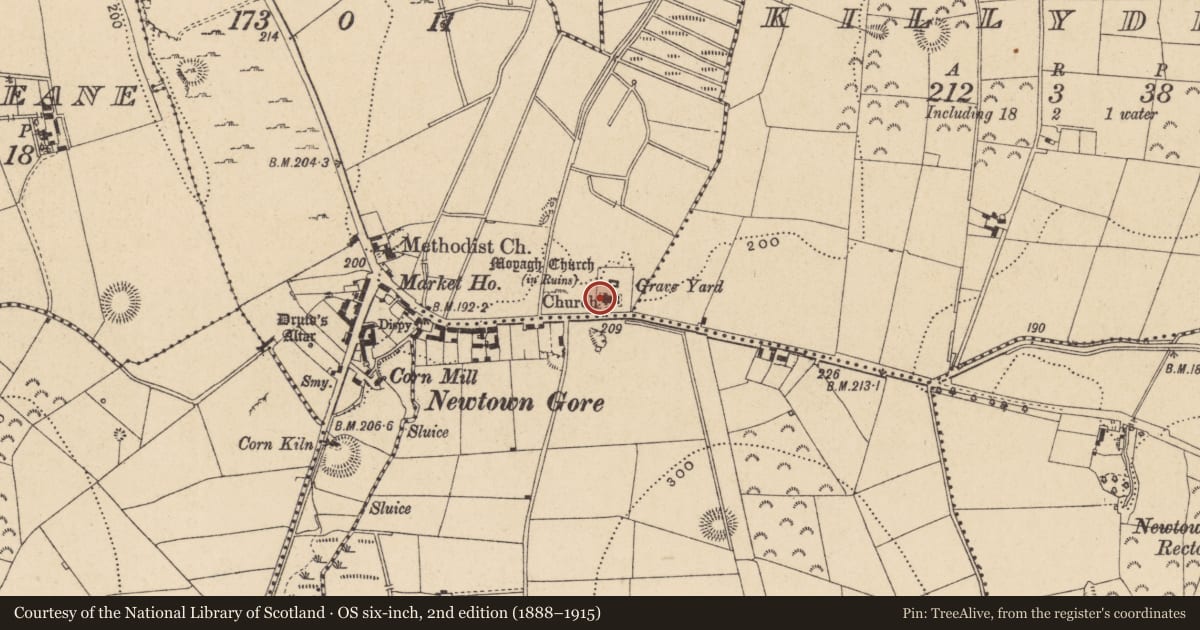 Ordnance Survey six-inch map, 2nd edition (1888–1915) covering the location of Graveyard, Newtowngore, County Leitrim, with a pin at the register's coordinates