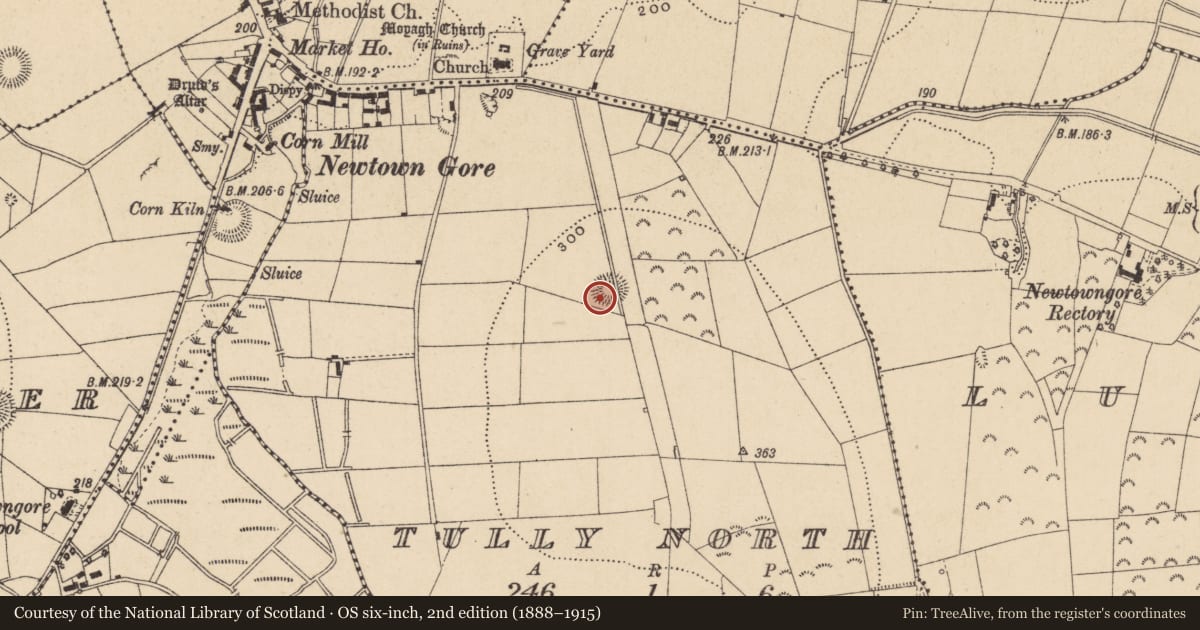 Ordnance Survey six-inch map, 2nd edition (1888–1915) covering the location of Ringfort - rath, Tully North, County Leitrim, with a pin at the register's coordinates