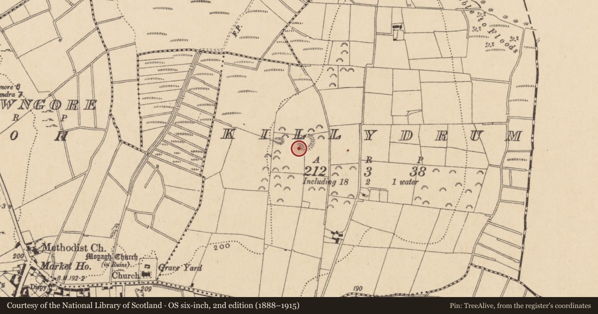 Ordnance Survey six-inch map, 2nd edition (1888–1915) covering the location of Ringfort - rath, Killydrum, County Leitrim, with a pin at the register's coordinates