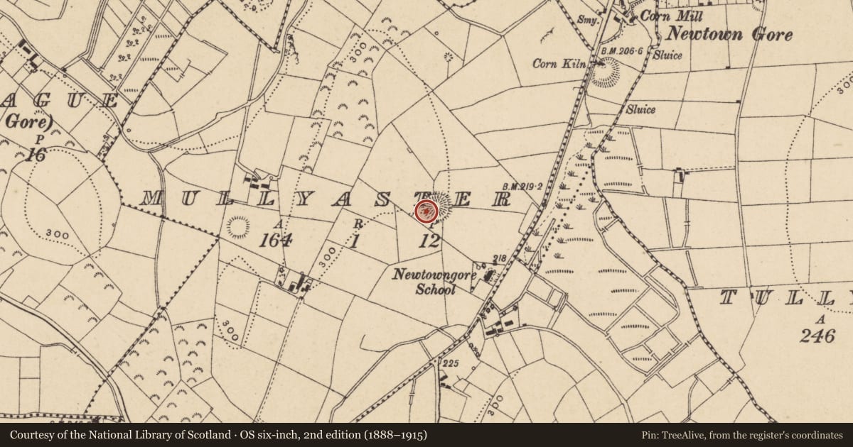 Ordnance Survey six-inch map, 2nd edition (1888–1915) covering the location of Ringfort - rath, Mullyaster, County Leitrim, with a pin at the register's coordinates
