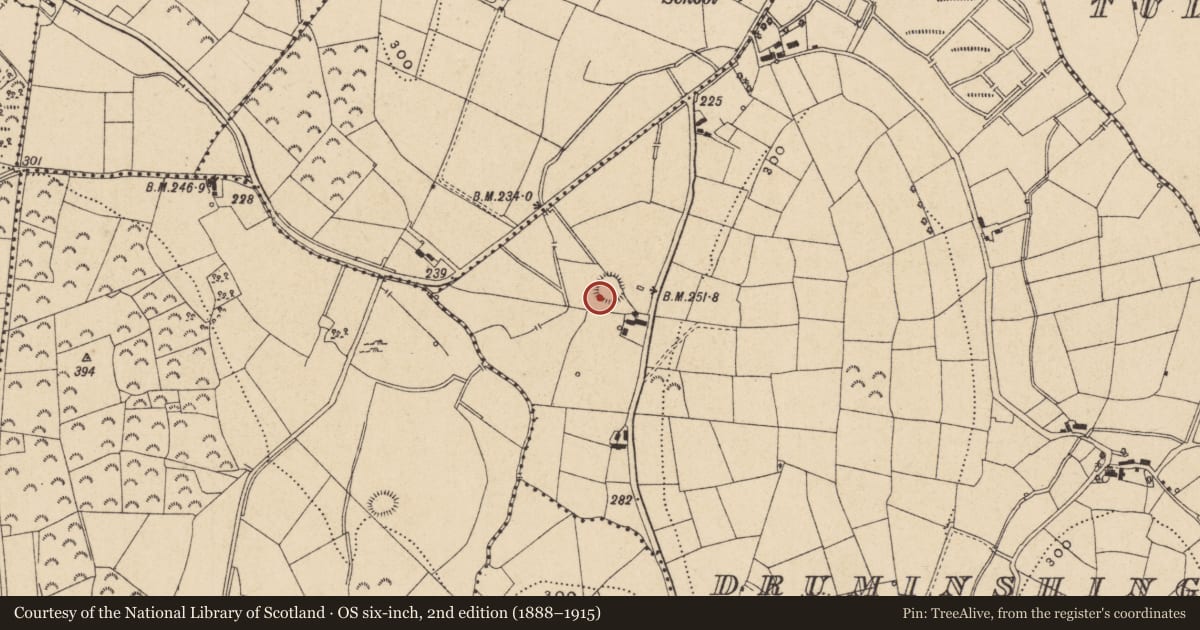 Ordnance Survey six-inch map, 2nd edition (1888–1915) covering the location of Ringfort - rath, Druminshingore, County Leitrim, with a pin at the register's coordinates