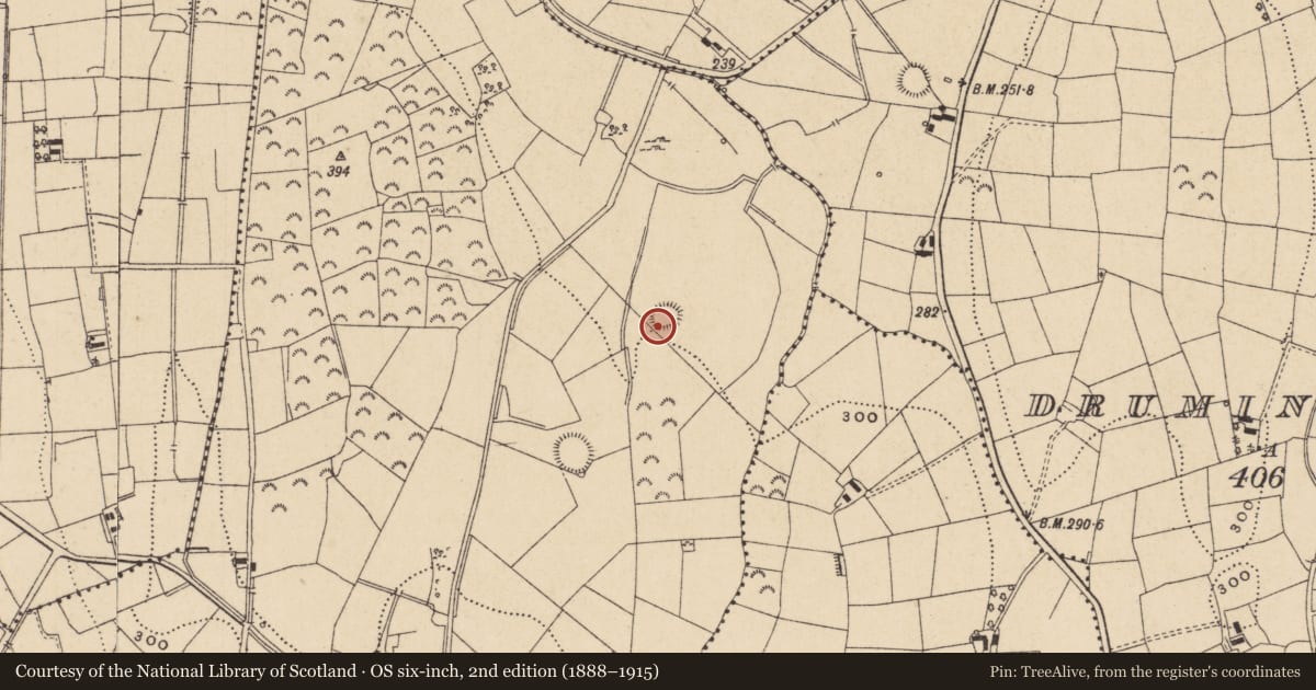 Ordnance Survey six-inch map, 2nd edition (1888–1915) covering the location of Ringfort - rath, Cloonboygher, County Leitrim, with a pin at the register's coordinates