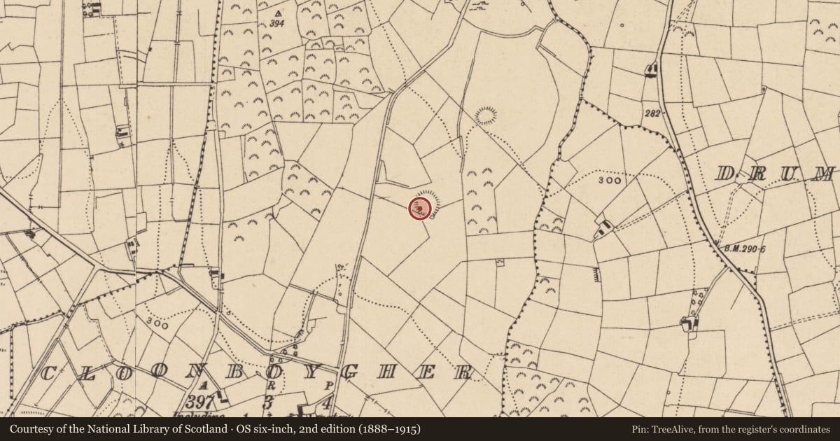 Ordnance Survey six-inch map, 2nd edition (1888–1915) covering the location of Ringfort - rath, Cloonboygher, County Leitrim, with a pin at the register's coordinates