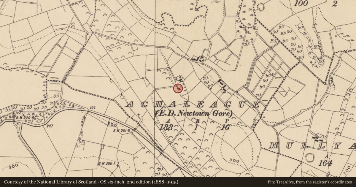 Ordnance Survey six-inch map, 2nd edition (1888–1915) covering the location of Architectural fragment, Aghaleague, County Leitrim, with a pin at the register's coordinates