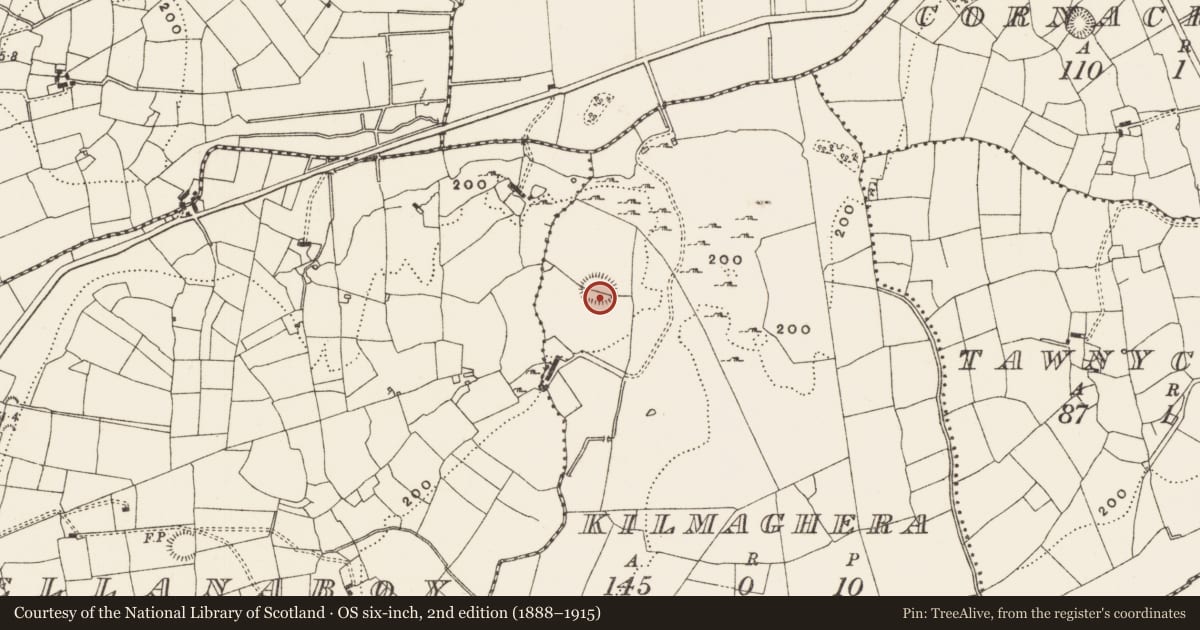 Ordnance Survey six-inch map, 2nd edition (1888–1915) covering the location of Ringfort - rath, Kilmaghera, County Leitrim, with a pin at the register's coordinates