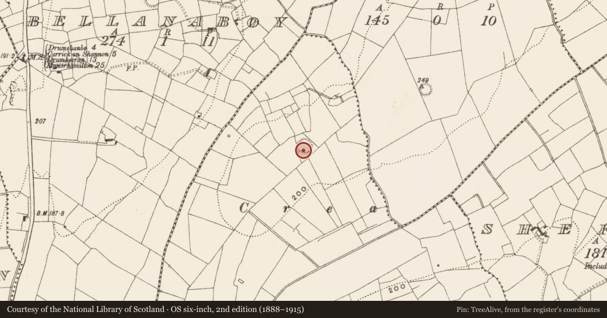 Ordnance Survey six-inch map, 2nd edition (1888–1915) covering the location of Ringfort - rath, Killarcan, County Leitrim, with a pin at the register's coordinates