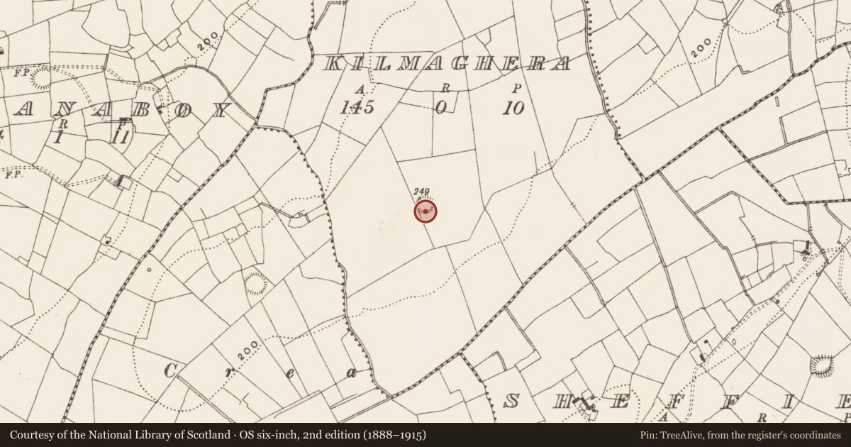 Ordnance Survey six-inch map, 2nd edition (1888–1915) covering the location of Ringfort - rath, Kilmaghera, County Leitrim, with a pin at the register's coordinates