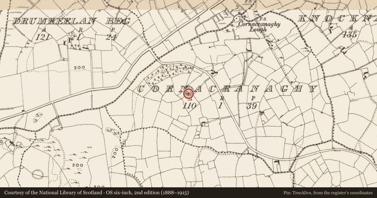 Ordnance Survey six-inch map, 2nd edition (1888–1915) covering the location of Ringfort - rath, Cornacranaghy, County Leitrim, with a pin at the register's coordinates