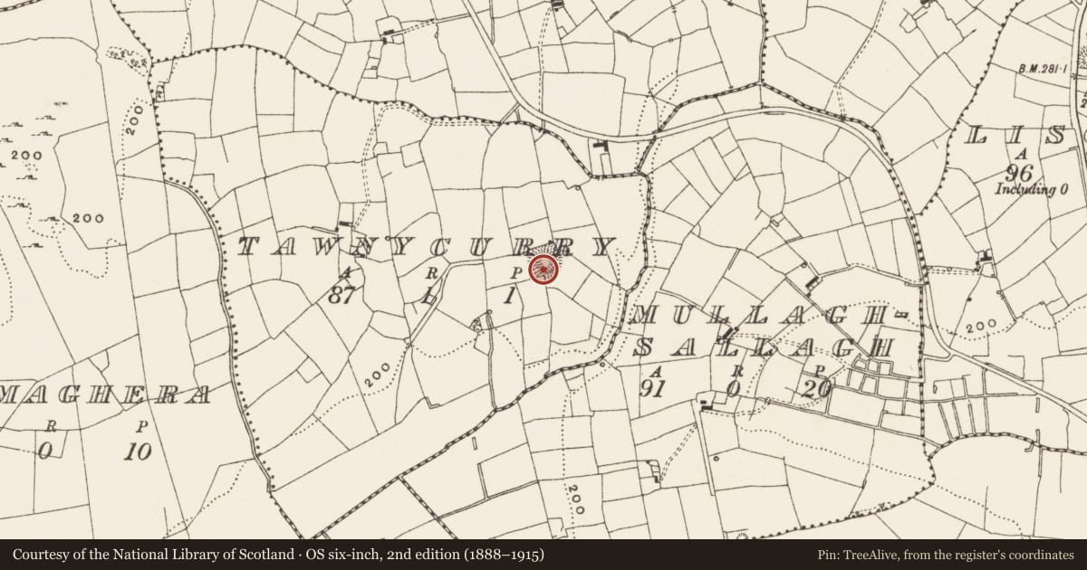 Ordnance Survey six-inch map, 2nd edition (1888–1915) covering the location of Ringfort - rath, Tawnycurry, County Leitrim, with a pin at the register's coordinates