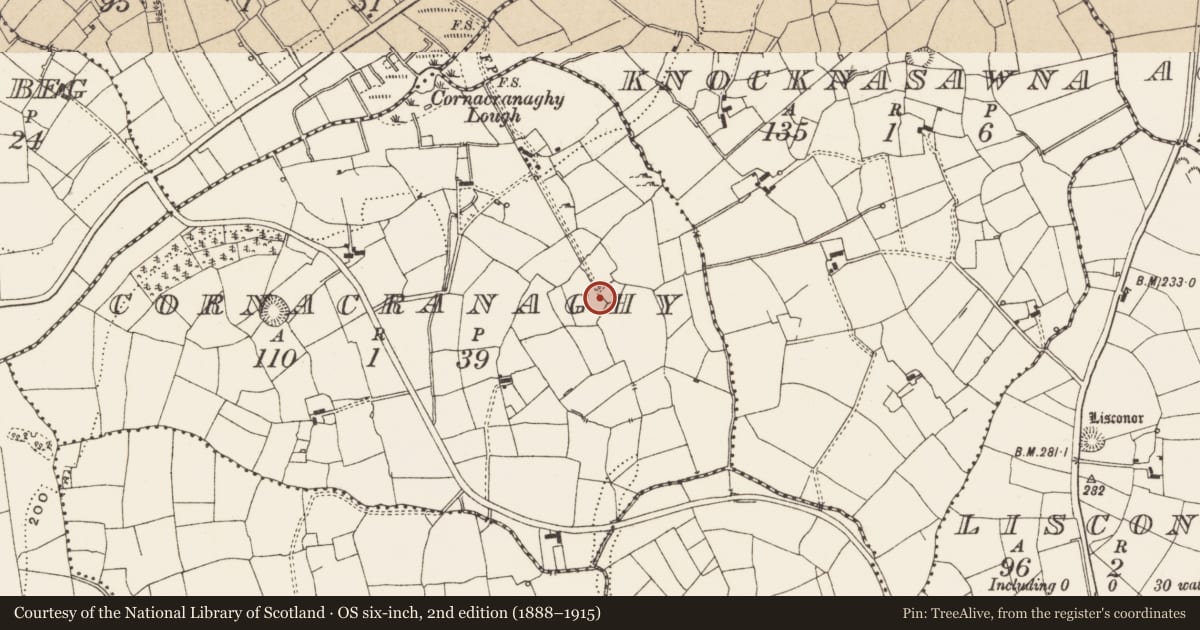 Ordnance Survey six-inch map, 2nd edition (1888–1915) covering the location of Ringfort - rath, Cornacranaghy, County Leitrim, with a pin at the register's coordinates