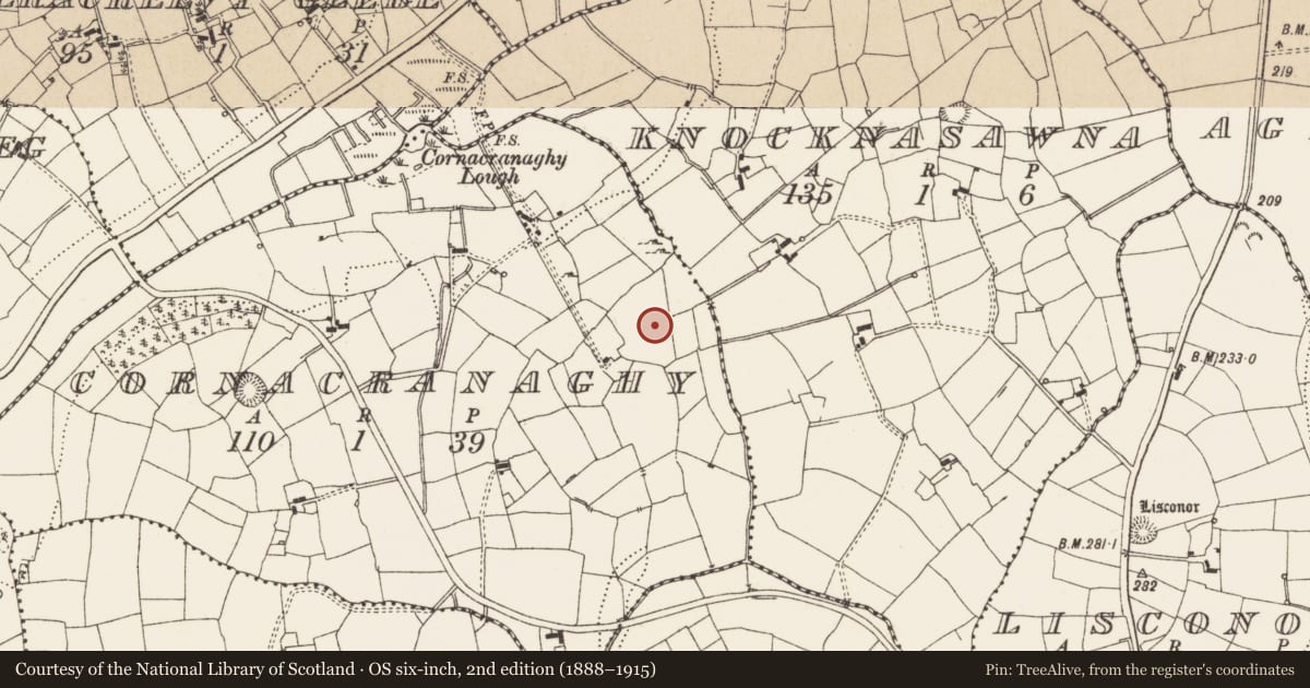 Ordnance Survey six-inch map, 2nd edition (1888–1915) covering the location of Ringfort - rath, Cornacranaghy, County Leitrim, with a pin at the register's coordinates