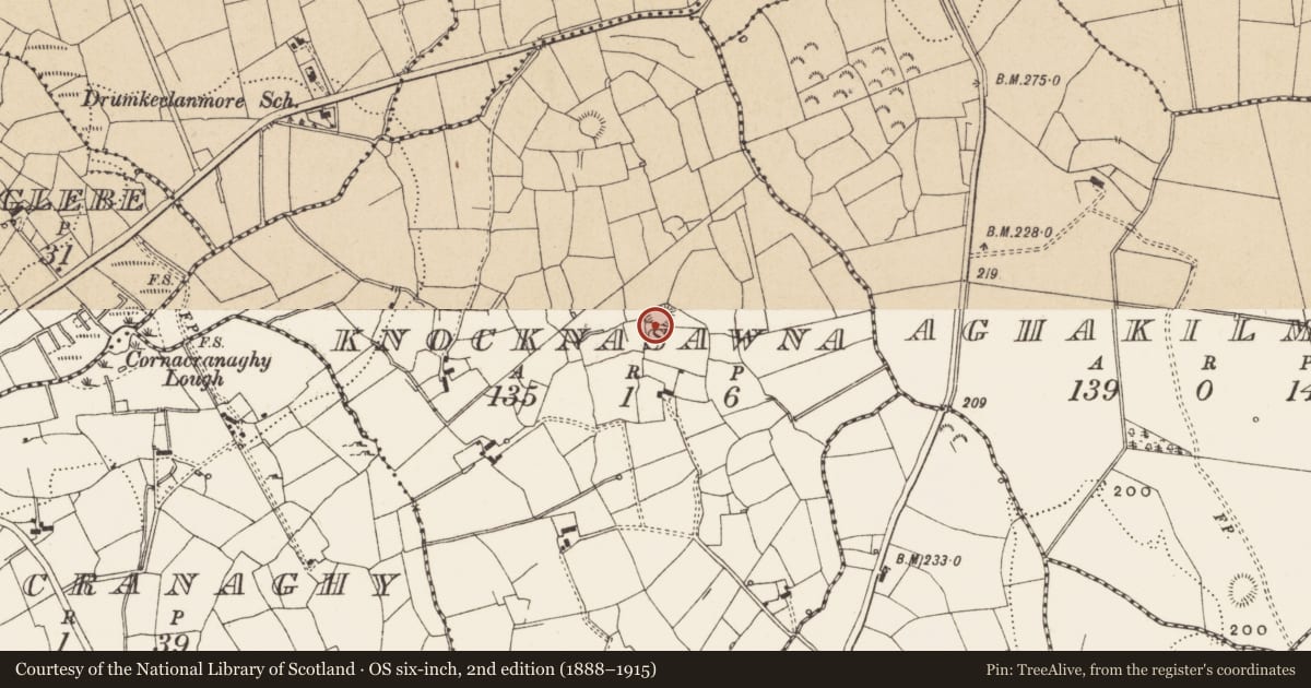 Ordnance Survey six-inch map, 2nd edition (1888–1915) covering the location of Ringfort - rath, Knocknasawna, County Leitrim, with a pin at the register's coordinates