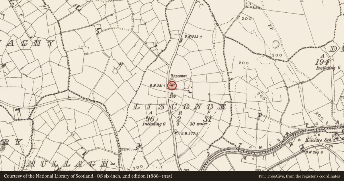 Ordnance Survey six-inch map, 2nd edition (1888–1915) covering the location of Ringfort - rath, Lisconor, County Leitrim, with a pin at the register's coordinates