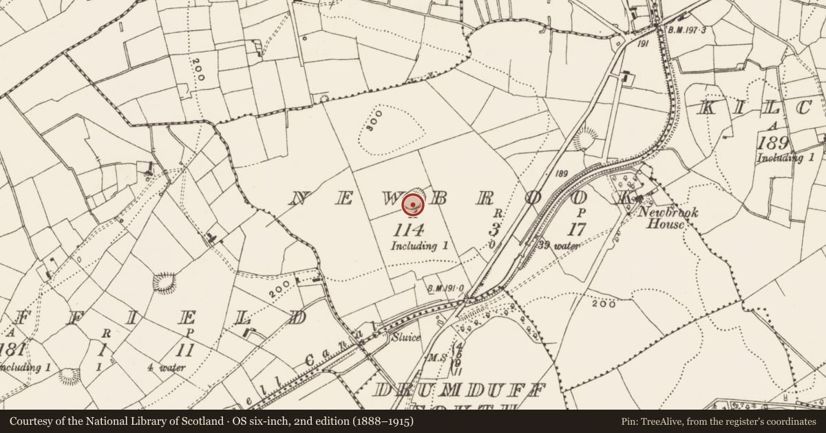 Ordnance Survey six-inch map, 2nd edition (1888–1915) covering the location of Ringfort - rath, Newbrook, County Leitrim, with a pin at the register's coordinates