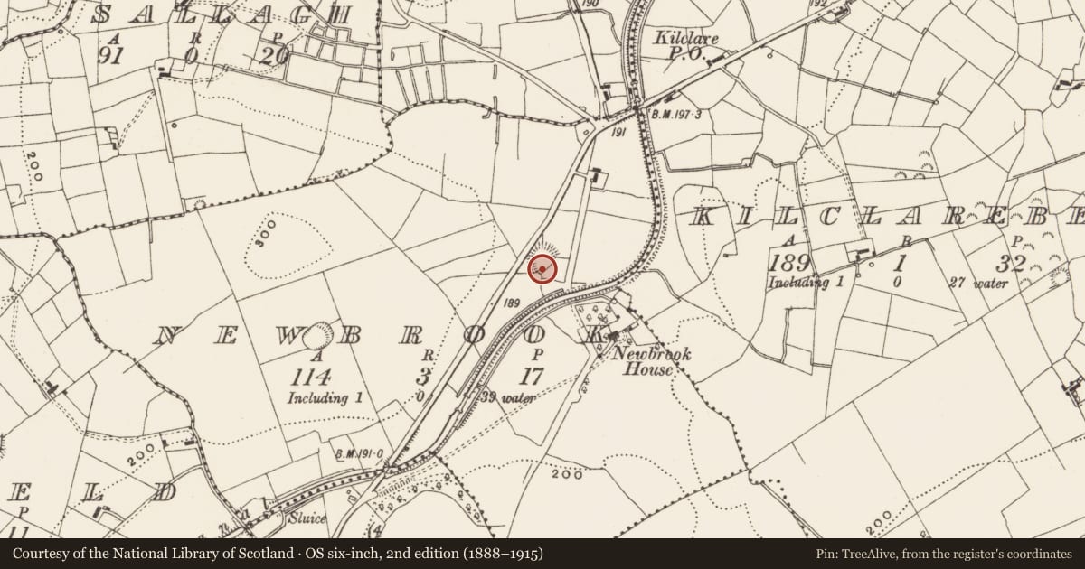 Ordnance Survey six-inch map, 2nd edition (1888–1915) covering the location of Ringfort - rath, Newbrook, County Leitrim, with a pin at the register's coordinates