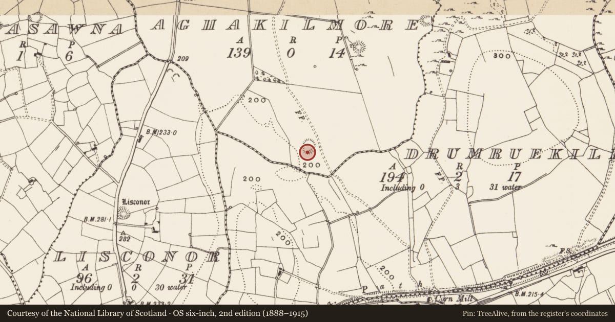 Ordnance Survey six-inch map, 2nd edition (1888–1915) covering the location of Ringfort - rath, Aghakilmore, County Leitrim, with a pin at the register's coordinates