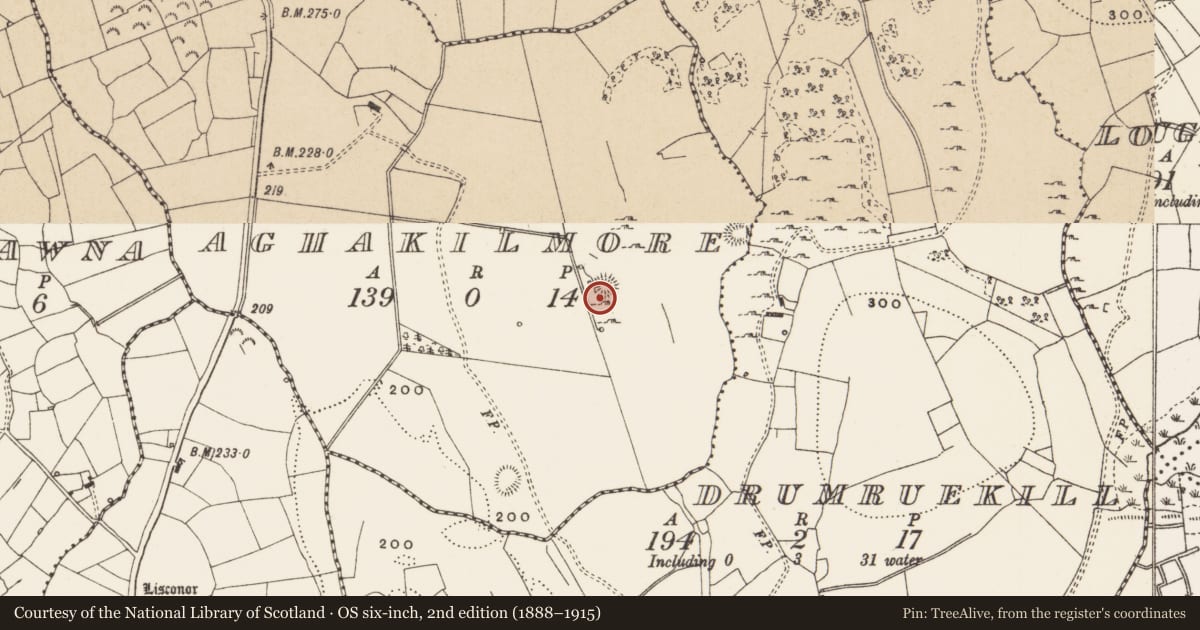 Ordnance Survey six-inch map, 2nd edition (1888–1915) covering the location of Ringfort - rath, Aghakilmore, County Leitrim, with a pin at the register's coordinates