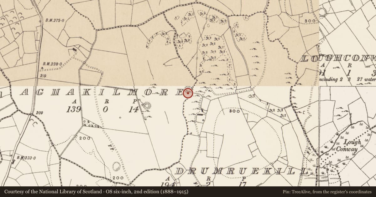 Ordnance Survey six-inch map, 2nd edition (1888–1915) covering the location of Ringfort - cashel, Aghakilmore, County Leitrim, with a pin at the register's coordinates