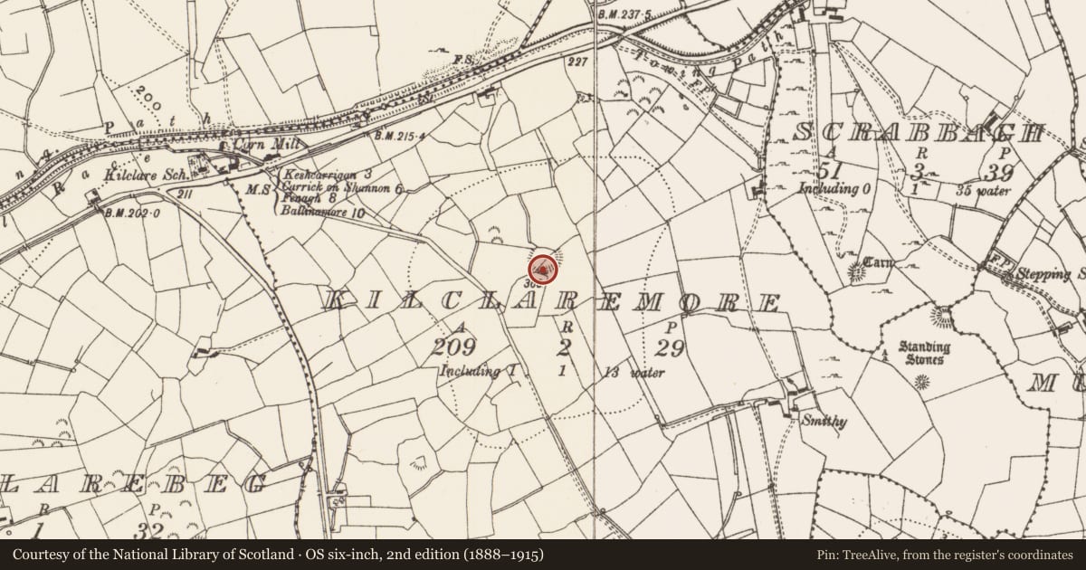 Ordnance Survey six-inch map, 2nd edition (1888–1915) covering the location of Ringfort - rath, Kilclaremore, County Leitrim, with a pin at the register's coordinates
