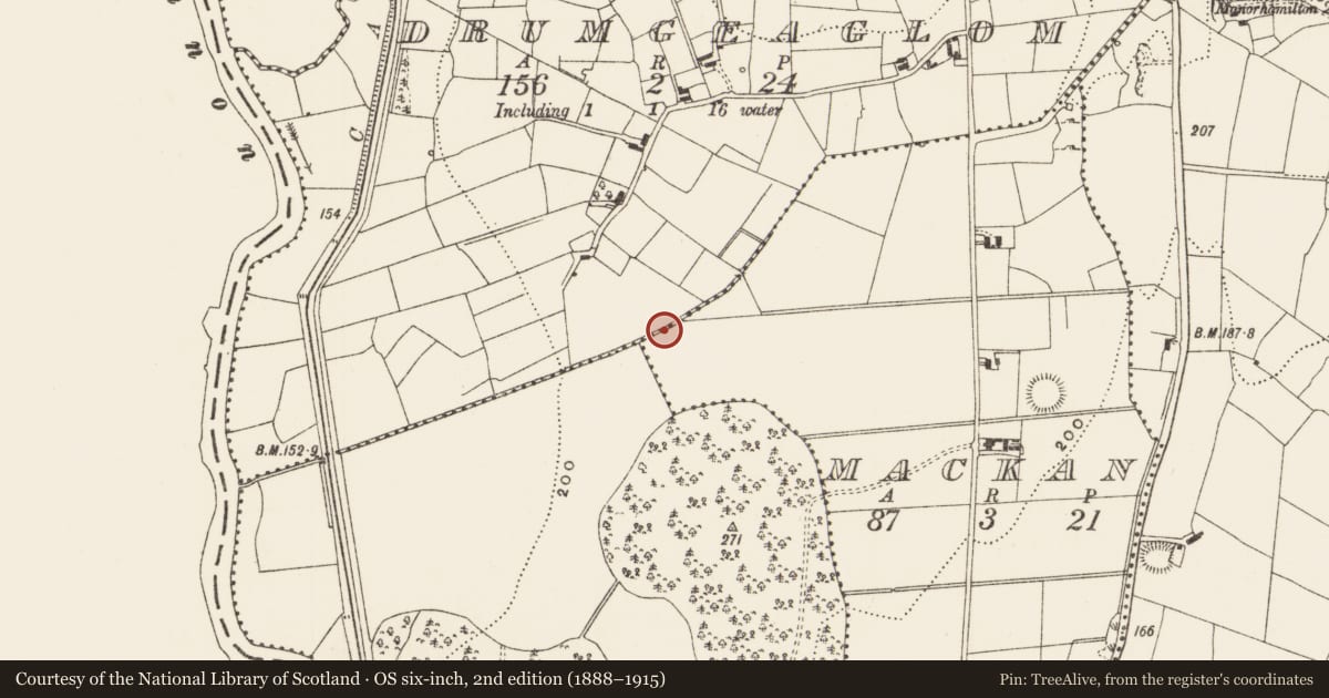 Ordnance Survey six-inch map, 2nd edition (1888–1915) covering the location of Enclosure, Drumgeaglom, County Leitrim, with a pin at the register's coordinates