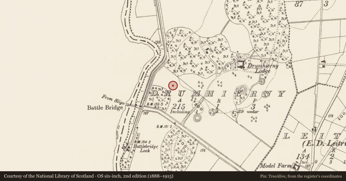 Ordnance Survey six-inch map, 2nd edition (1888–1915) covering the location of Designed landscape - tree-ring, Drumhierny, County Leitrim, with a pin at the register's coordinates
