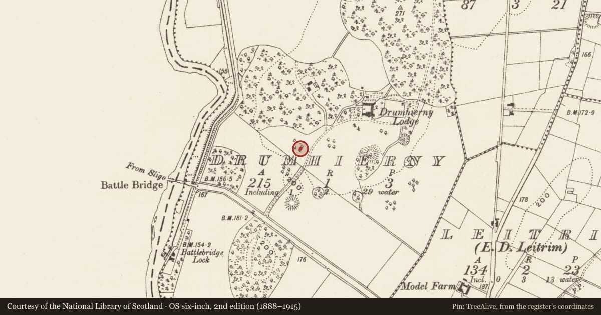 Ordnance Survey six-inch map, 2nd edition (1888–1915) covering the location of Designed landscape - tree-ring, Drumhierny, County Leitrim, with a pin at the register's coordinates