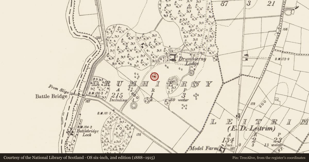 Ordnance Survey six-inch map, 2nd edition (1888–1915) covering the location of Designed landscape - tree-ring, Drumhierny, County Leitrim, with a pin at the register's coordinates