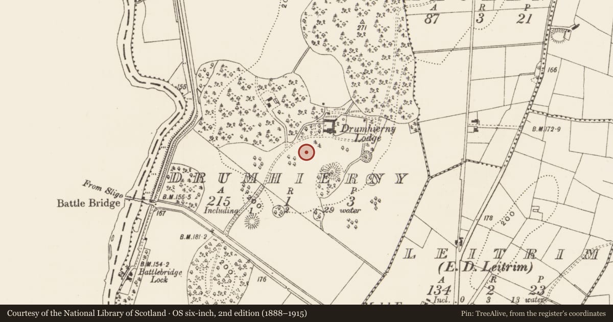Ordnance Survey six-inch map, 2nd edition (1888–1915) covering the location of Designed landscape - tree-ring, Drumhierny, County Leitrim, with a pin at the register's coordinates