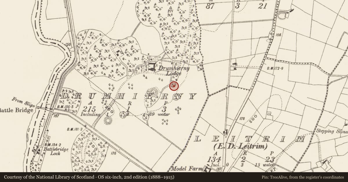 Ordnance Survey six-inch map, 2nd edition (1888–1915) covering the location of Enclosure, Drumhierny, County Leitrim, with a pin at the register's coordinates