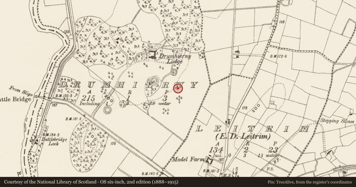 Ordnance Survey six-inch map, 2nd edition (1888–1915) covering the location of Enclosure, Drumhierny, County Leitrim, with a pin at the register's coordinates