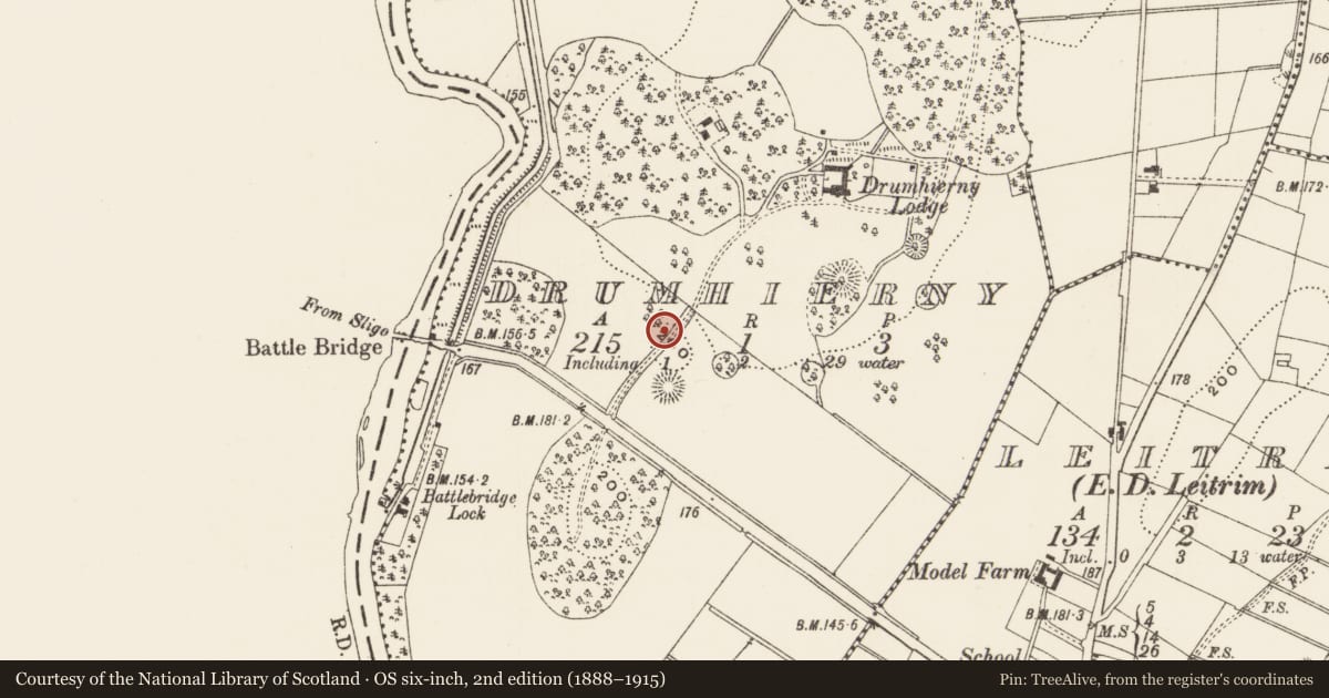 Ordnance Survey six-inch map, 2nd edition (1888–1915) covering the location of Designed landscape - tree-ring, Drumhierny, County Leitrim, with a pin at the register's coordinates