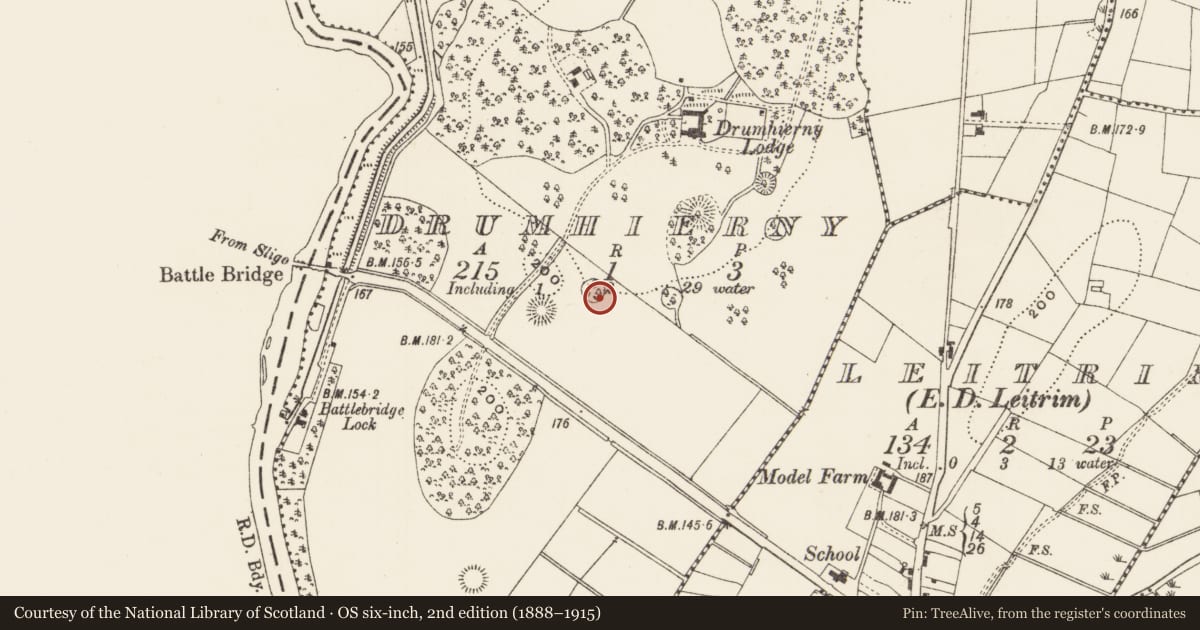 Ordnance Survey six-inch map, 2nd edition (1888–1915) covering the location of Enclosure, Drumhierny, County Leitrim, with a pin at the register's coordinates