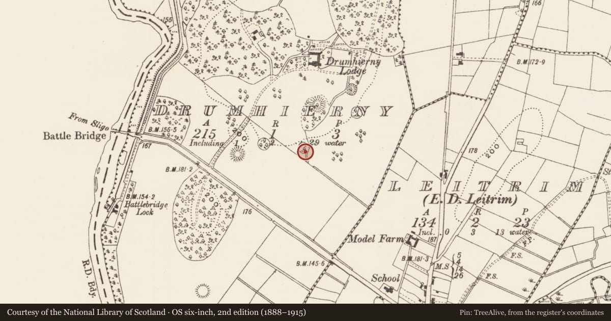 Ordnance Survey six-inch map, 2nd edition (1888–1915) covering the location of Enclosure, Drumhierny, County Leitrim, with a pin at the register's coordinates