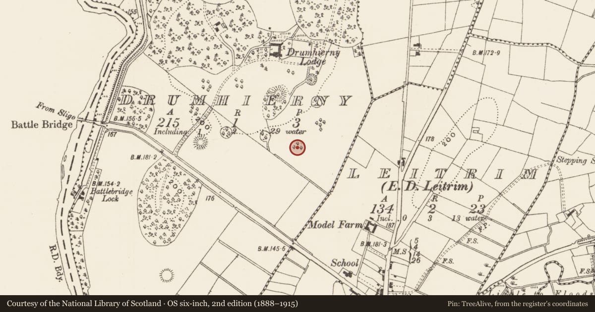 Ordnance Survey six-inch map, 2nd edition (1888–1915) covering the location of Designed landscape - tree-ring, Drumhierny, County Leitrim, with a pin at the register's coordinates