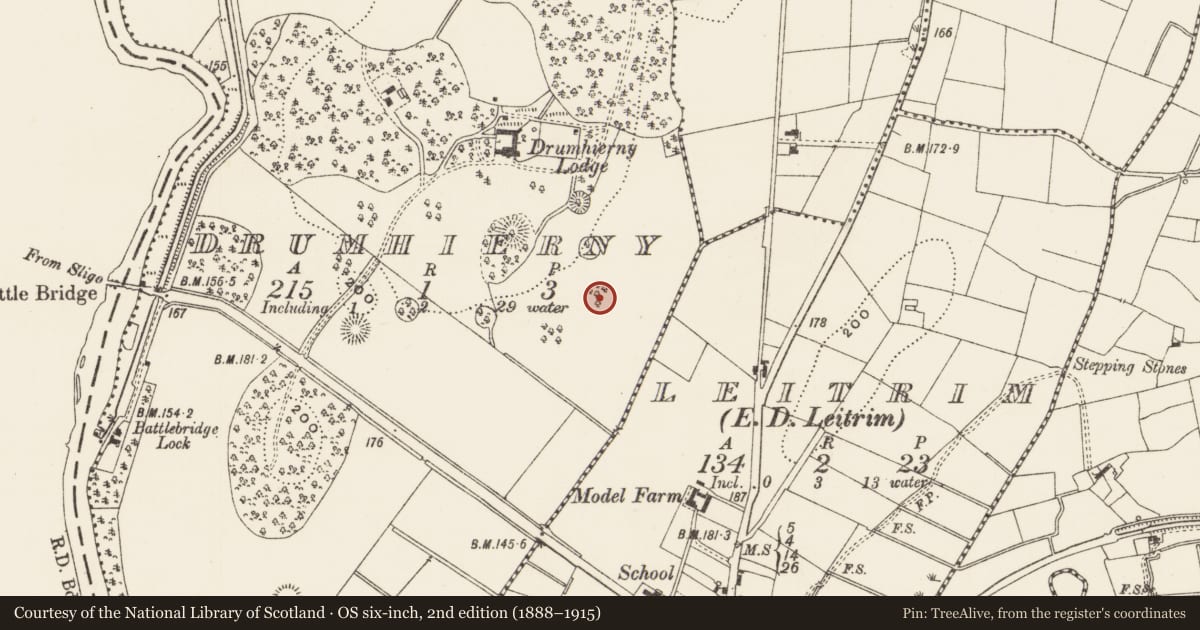 Ordnance Survey six-inch map, 2nd edition (1888–1915) covering the location of Designed landscape - tree-ring, Drumhierny, County Leitrim, with a pin at the register's coordinates