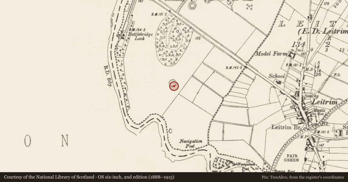Ordnance Survey six-inch map, 2nd edition (1888–1915) covering the location of Ringfort - rath, Drumhierny, County Leitrim, with a pin at the register's coordinates